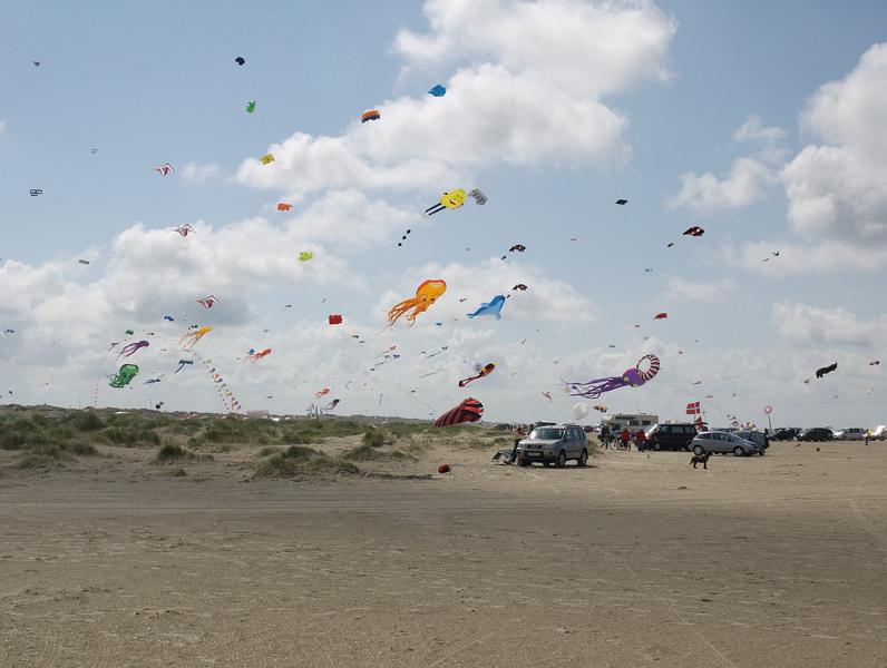 Fanø 2009 14.jpg